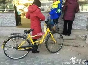 自行车吃瓜最新事件爆料,揭秘网络热议背后的真相与争议